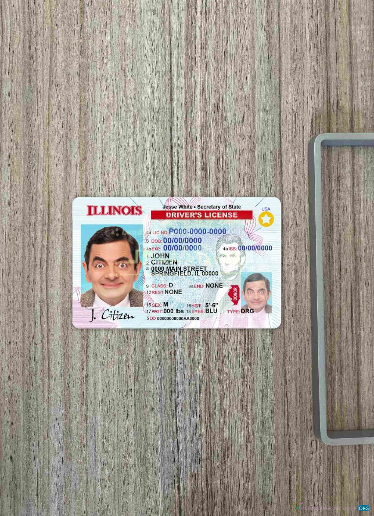 Download USA Illinois DL photolook FRONT Photoshop template